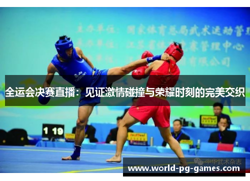 全运会决赛直播：见证激情碰撞与荣耀时刻的完美交织