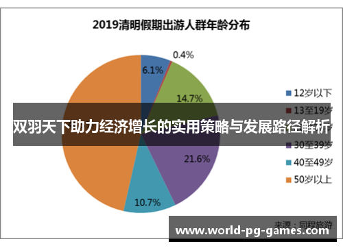 双羽天下助力经济增长的实用策略与发展路径解析 双羽天下助力经济增长的实用策略与发展路径解析